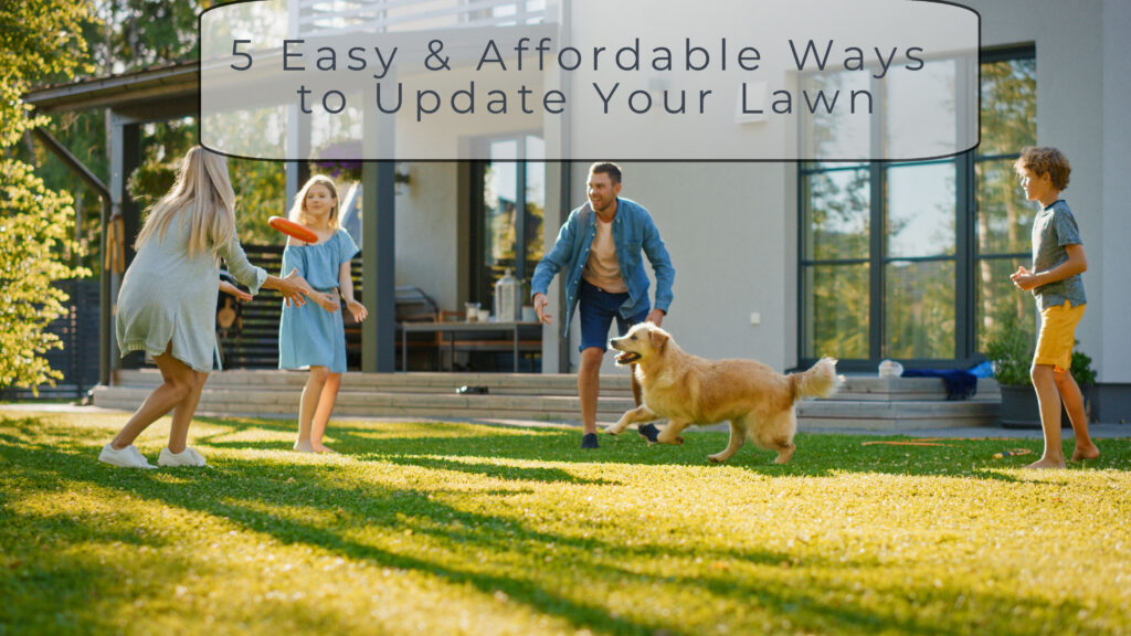 5 Easy and affordable ways to upgrade your lawn